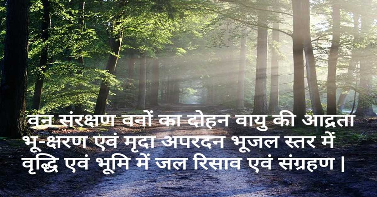  वन संरक्षण वनों का दोहन वायु की आद्रता भू-क्षरण एवं मृदा अपरदन भूजल स्तर में वृद्धि एवं भूमि में जल रिसाव एवं संग्रहण | 